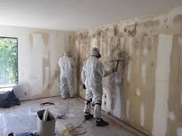 Best Emergency Mold Remediation  in Boone, NC